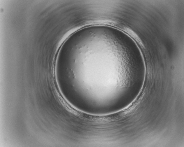 X0000060261436200511010901