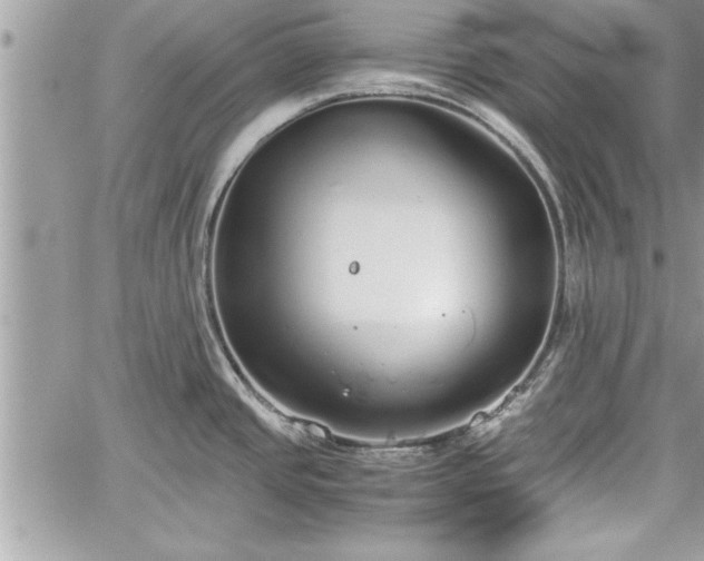 X0000060261437200511010901