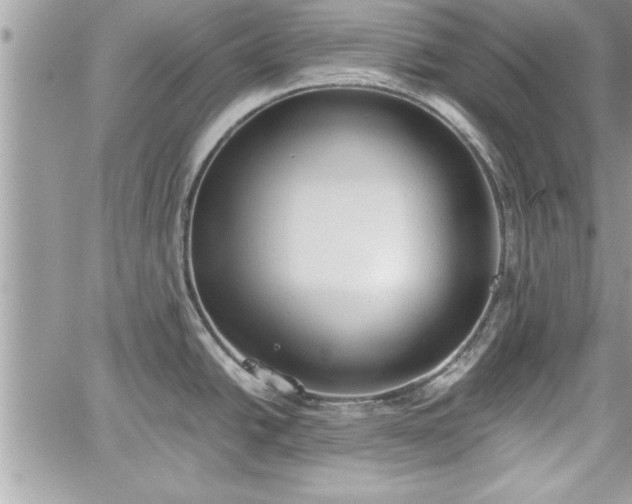 X0000060261438200511010901