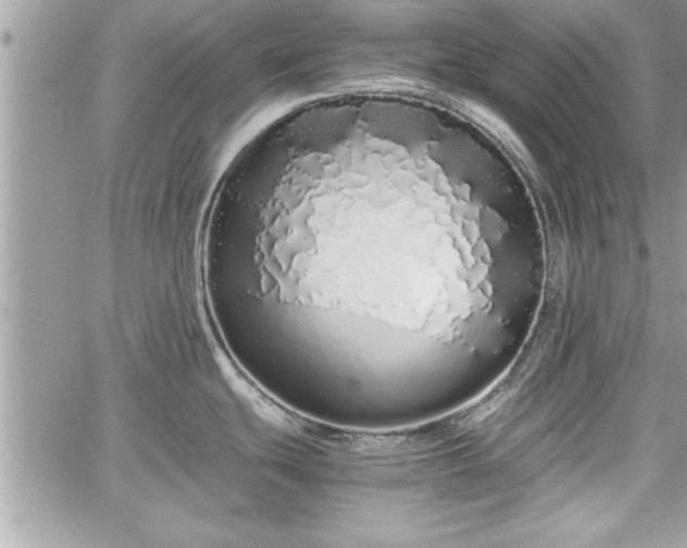 X0000060261439200511010901