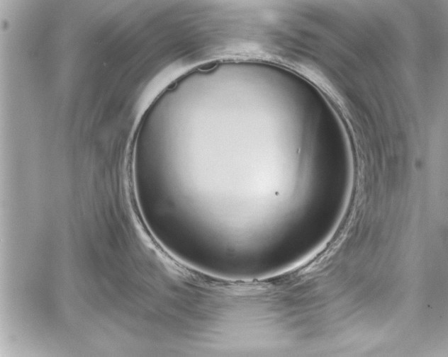 X0000060261440200511010901