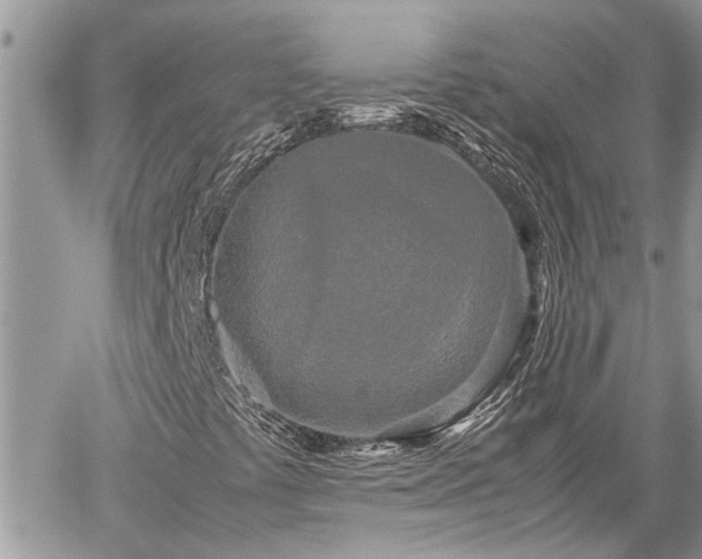 X0000060261441200511010901