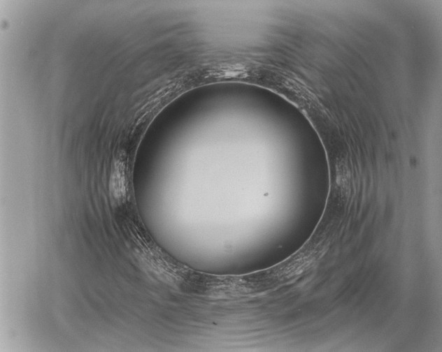 X0000060261442200511010901