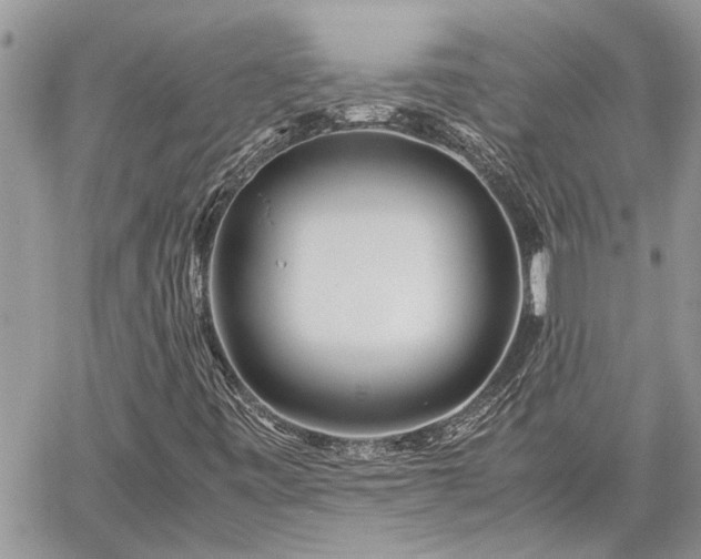 X0000060261443200511010901