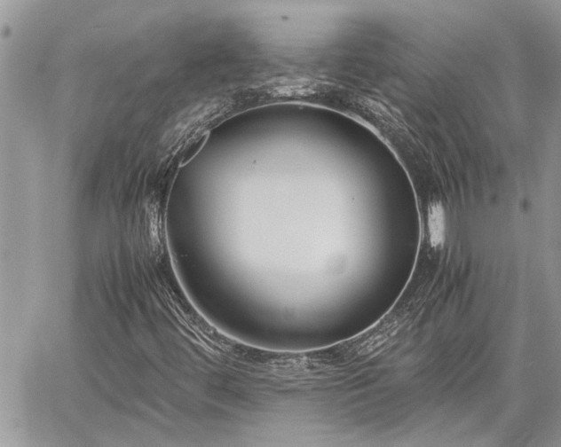 X0000060261444200511010901