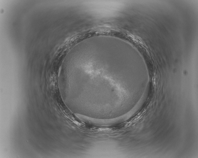 X0000060261445200511010901