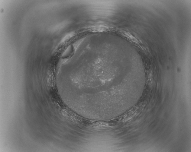 X0000060261446200511010901