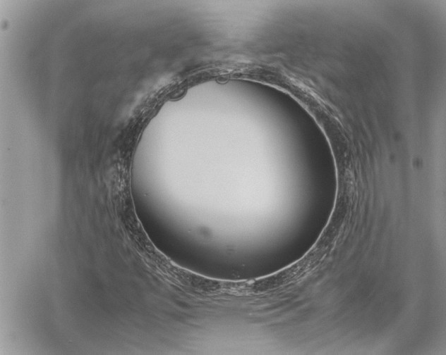 X0000060261447200511010901