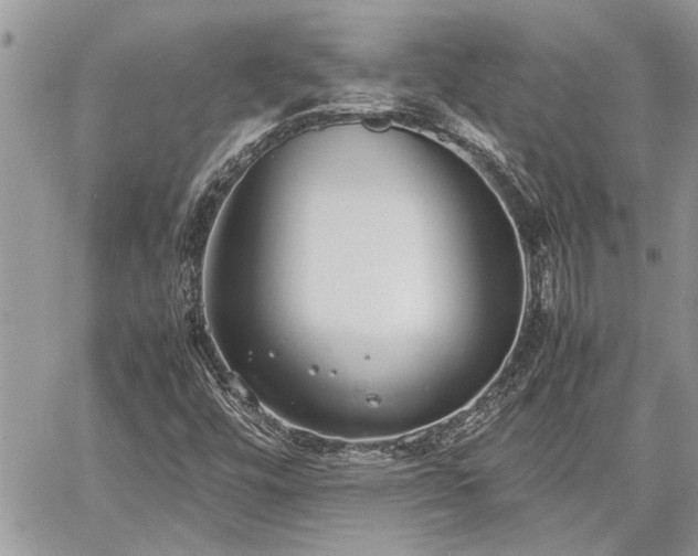 X0000060261448200511010901