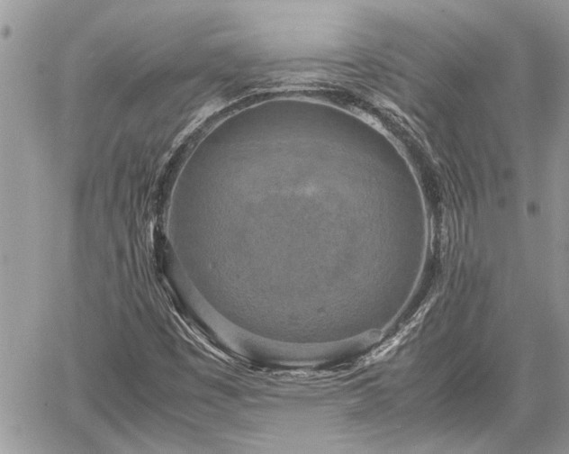 X0000060261449200511010900