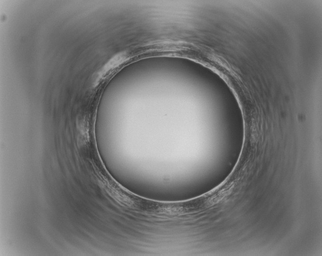 X0000060261451200511010900