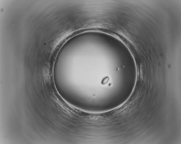 X0000060261452200511010900