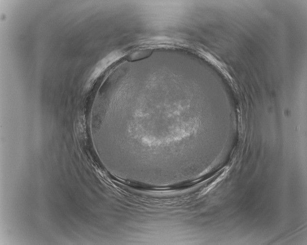 X0000060261453200511010900