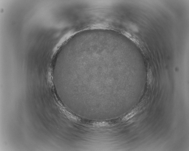 X0000060261454200511010900