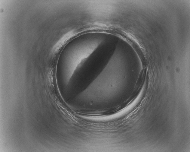 X0000060261455200511010900