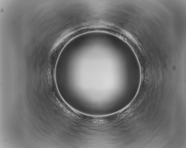 X0000060261456200511010900