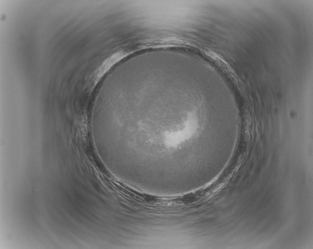 X0000060261457200511010900