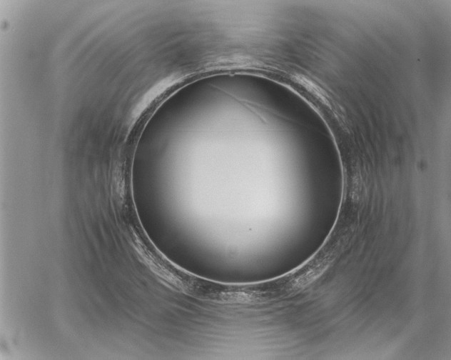 X0000060261458200511010900