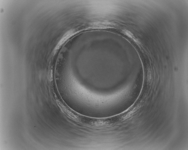 X0000060261459200511010900