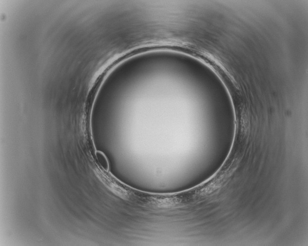 X0000060261460200511010900