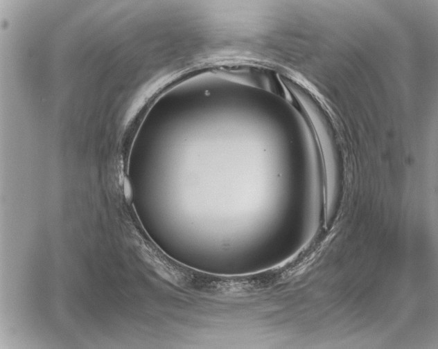 X0000060261461200511010900