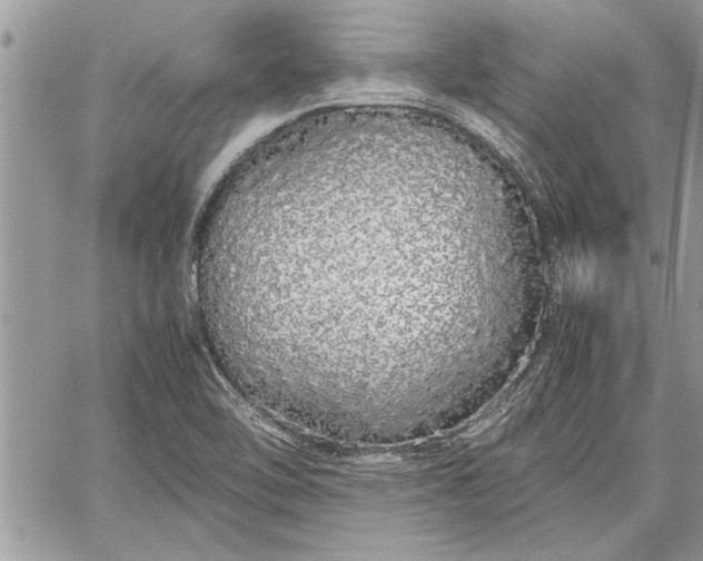 X0000060261462200511010900