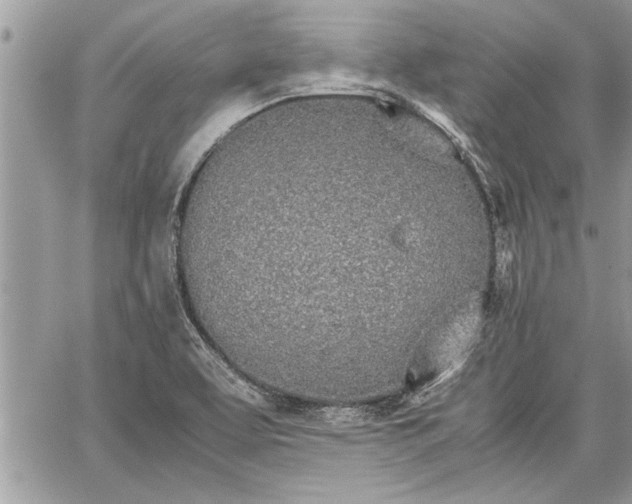 X0000060261463200511010900