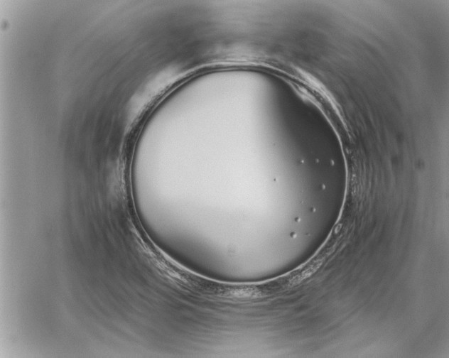 X0000060261464200511010900