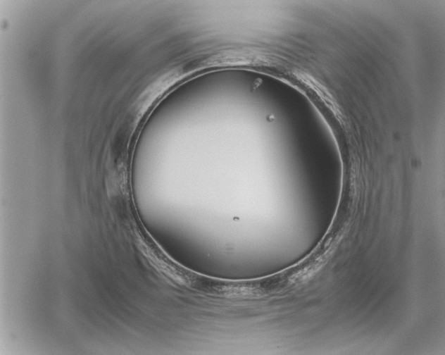 X0000060261465200511010900