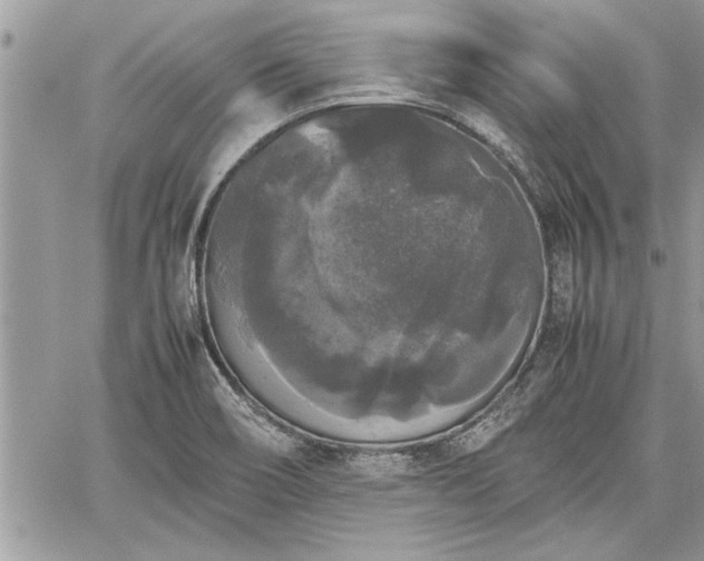 X0000060261466200511010900