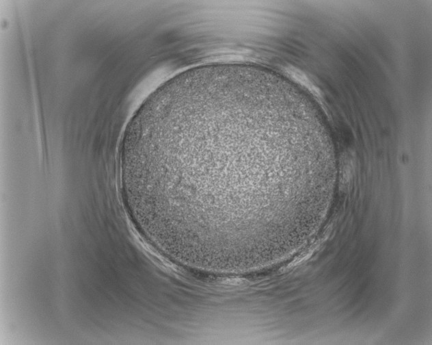 X0000060261467200511010900