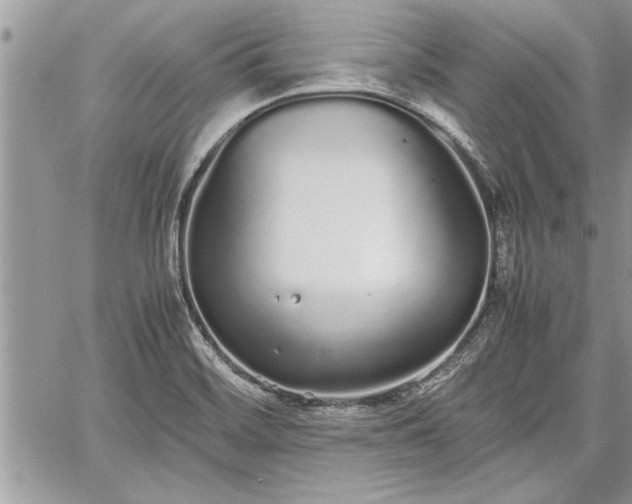 X0000060261468200511010900