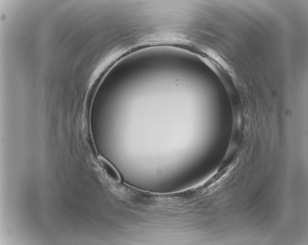 X0000060261469200511010900