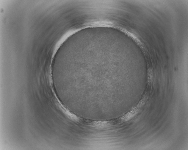 X0000060261470200511010900