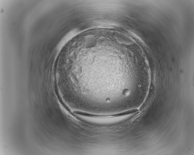 X0000060261471200511010900