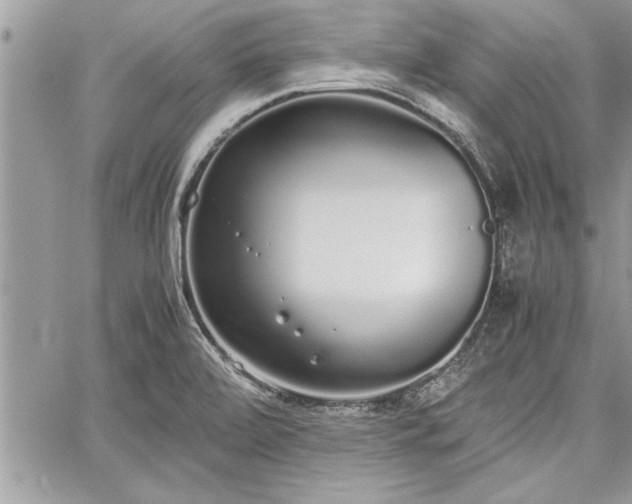 X0000060261472200511010900