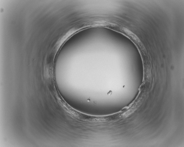 X0000060261473200511010900