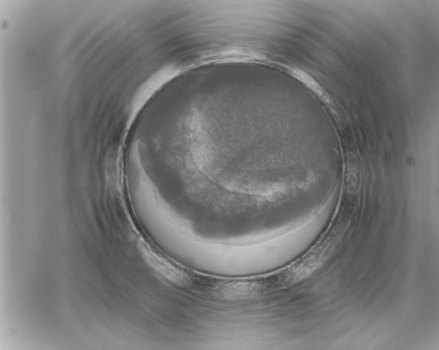 X0000060261474200511010900