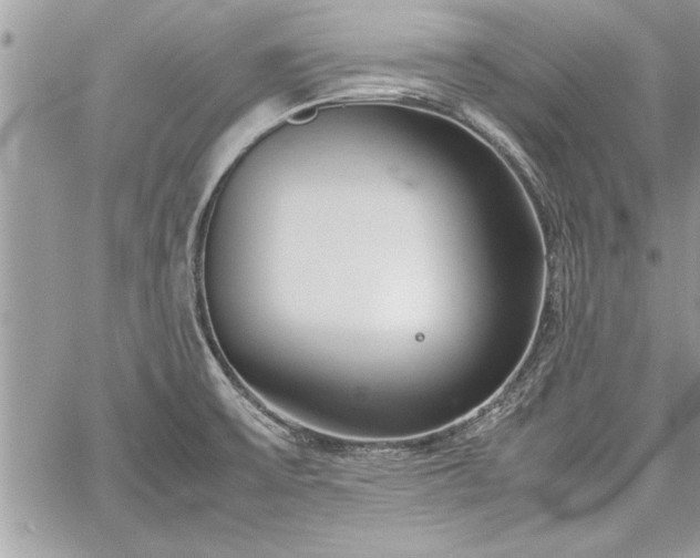 X0000060261475200511010900