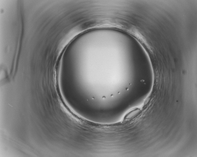 X0000060261476200511010900