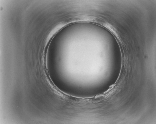 X0000060261477200511010900