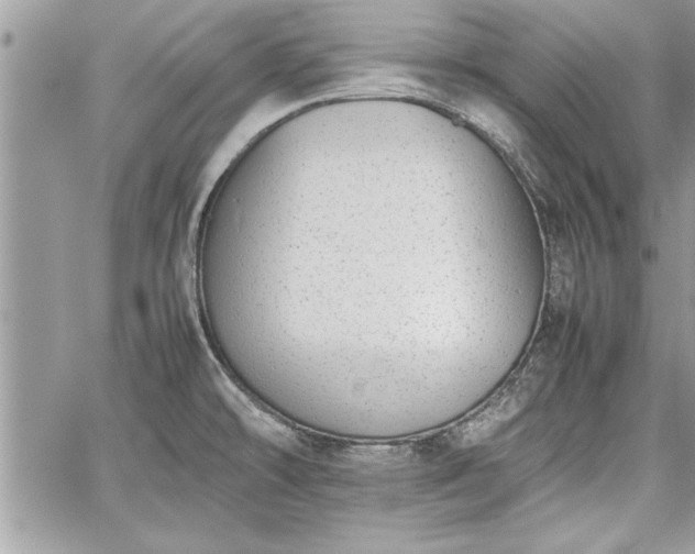 X0000060261478200511010900