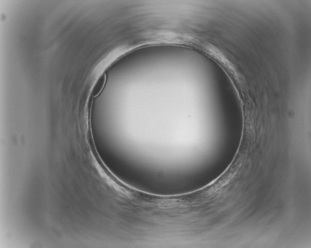 X0000060261479200511010900