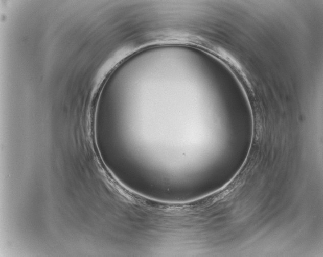 X0000060261480200511010900