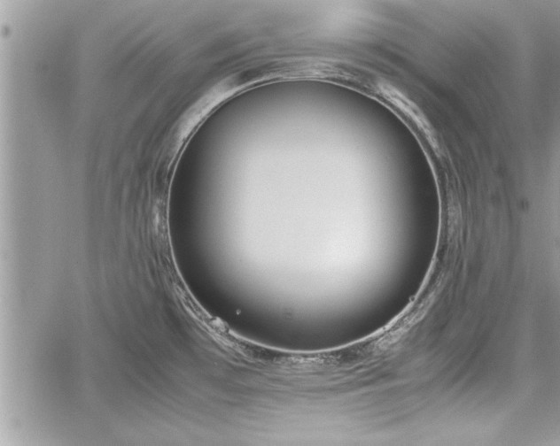 X0000060261481200511010900