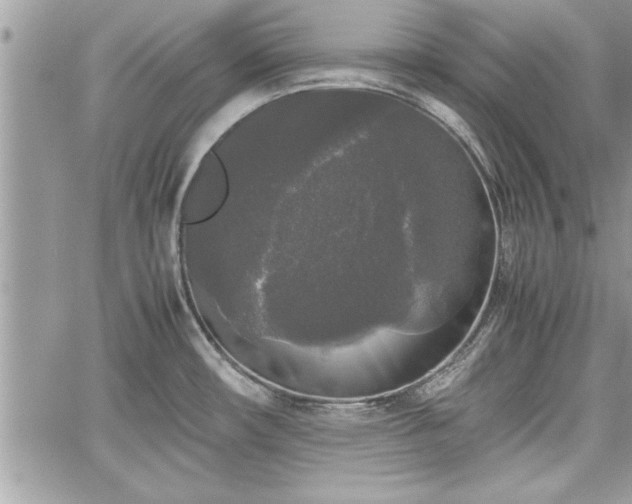 X0000060261482200511010900