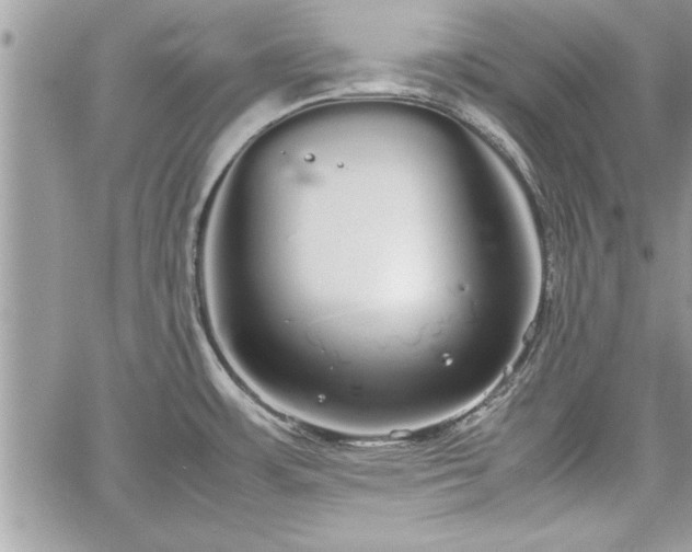 X0000060261483200511010900