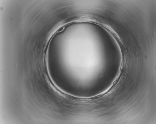 X0000060261484200511010900