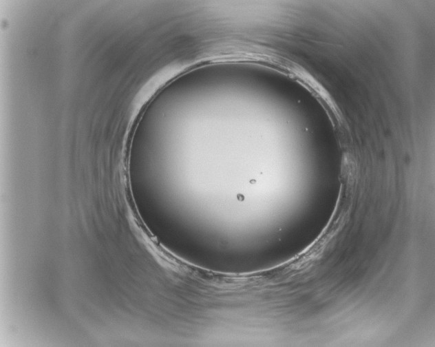 X0000060261485200511010900