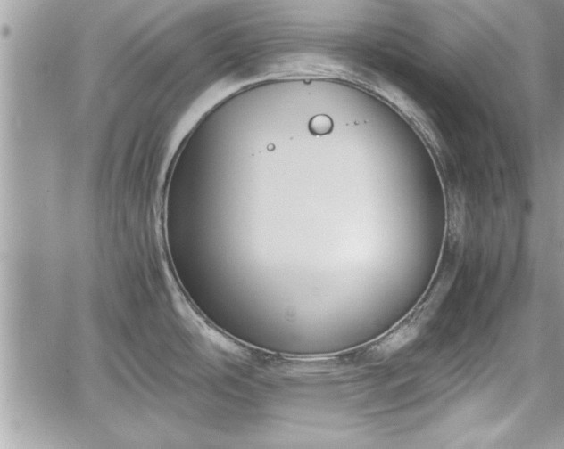 X0000060261486200511010900